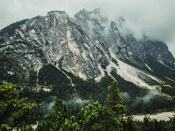 Quelle croisière propose des excursions pour observer les rhinocéros en Afrique du Sud?