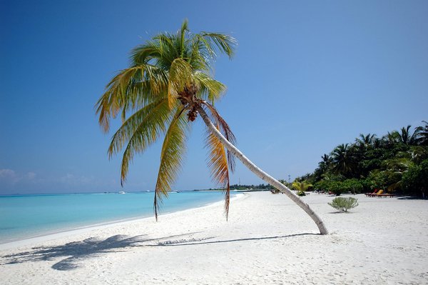 Votre escapade confortable à l'hôtel près du zoo de La Flèche