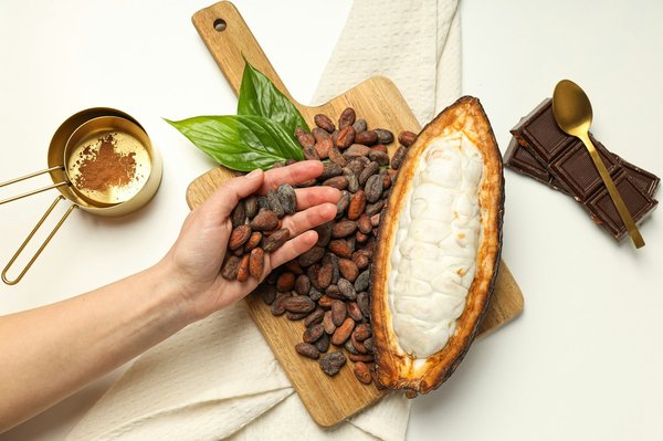 Comment organiser une visite des plantations de cacao en Côte d'Ivoire?